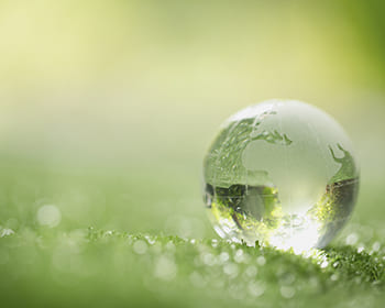 Gestione Ambientale ISO 14001 Gestione Ambientale ISO 14001
